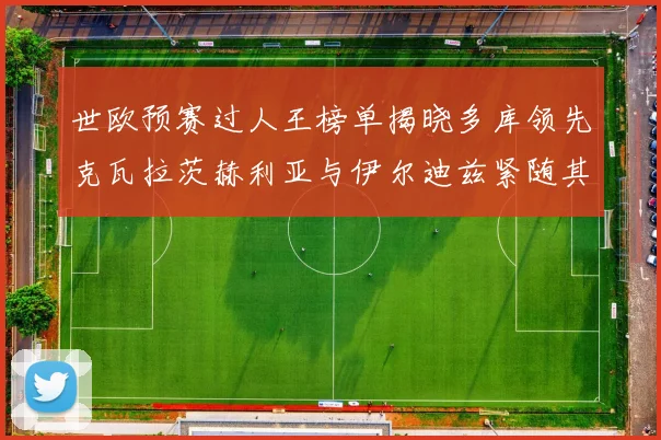 世欧预赛过人王榜单揭晓多库领先克瓦拉茨赫利亚与伊尔迪兹紧随其后